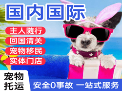 海浪航空物流国际宠物托运 【国